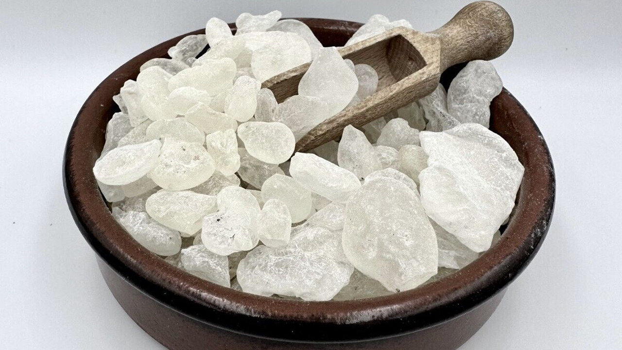 خيوس ماستيك العلكة.